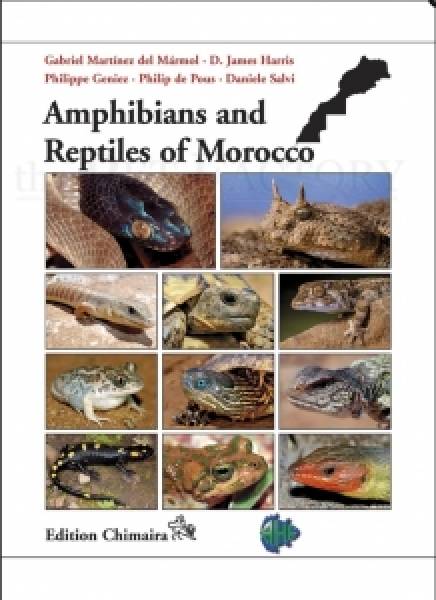 Amphibians and Reptiles of Morocco